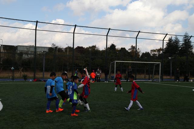 穆雷45分掘金大胜独行侠 篮网胜开拓者止5连败